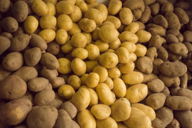 Patates bir rafta bir mağaza