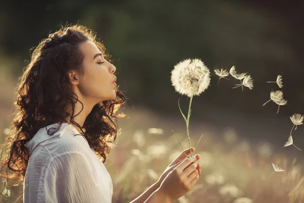 Bela jovem sopra dente-de-leão em um campo de trigo no pôr-do-sol de verão. Conceito de beleza e verão Imagens Royalty-Free