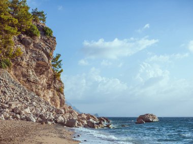 güzel vahşi kumsal