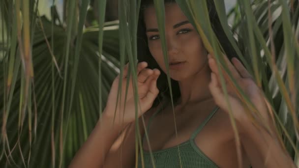 Menina bonita posando na floresta tropical. Close-up retrato perfeito — Vídeo de Stock