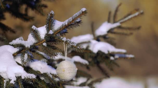 Hermoso árbol de Navidad con juguete hecho a mano en un parque — Vídeo de stock