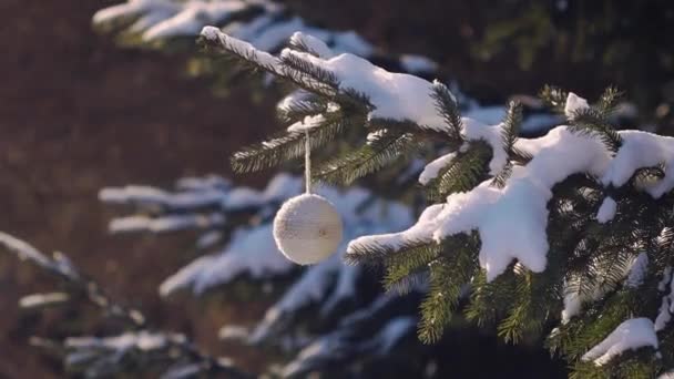 Hermoso árbol de Navidad con juguete hecho a mano en un parque — Vídeo de stock