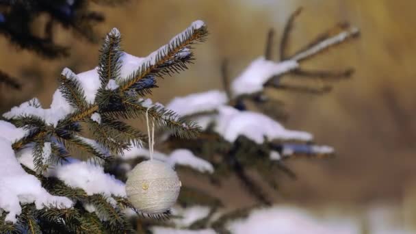 Schöner Weihnachtsbaum mit handgemachtem Spielzeug im Park — Stockvideo