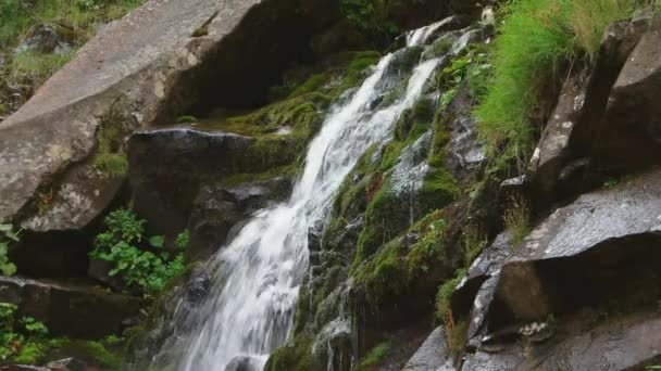 Cascade vue sur la montagne gros plan . — Video