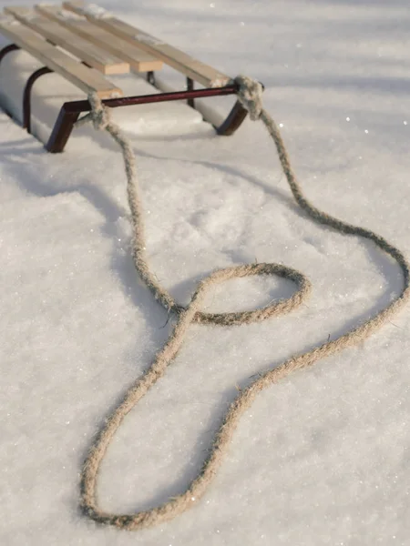 Sledge en nieve, vacaciones de invierno . — Foto de Stock