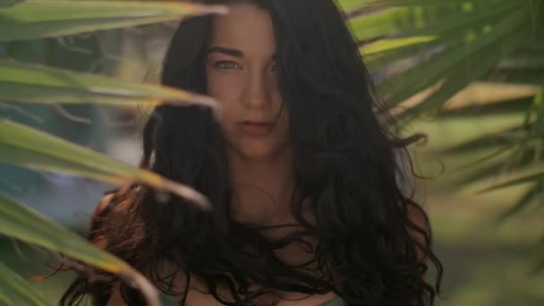 Menina bonita em biquíni contra fundo tropical. Retrato perfeito — Vídeo de Stock