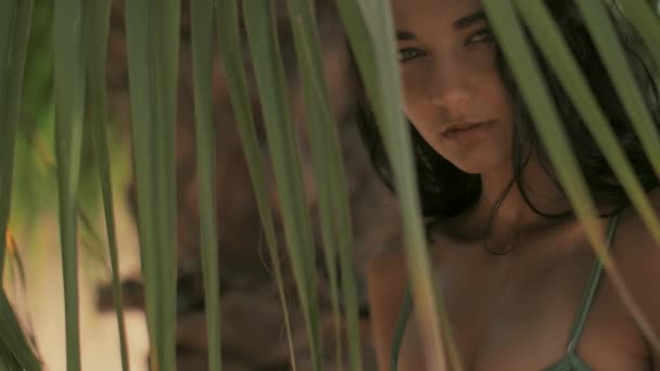 Красивая девушка позирует в тропическом лесу. Крупный план идеальный портрет — стоковое видео