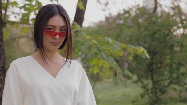 Портрет моди азіатської моделі з креативним стильним макіяжем на відкритому повітрі — стокове відео