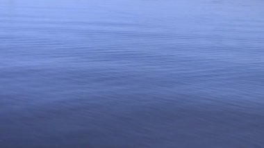 Ağır çekimde turkuaz su yüzeyinde dalgalanma çalıştırıyor. Şaşırtıcı doğal gevşeme doku. Sığ dof. Sinematik meditative ve hipnotik etkisi ile arka plan hareketli. Yavaş hareket 4k Uhd yüksek