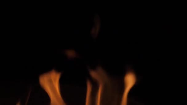 Brand flammor. Vacker abstrakt bakgrund. — Stockvideo