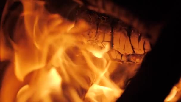 Vreugdevuur bij nacht natuur achtergrond close-up — Stockvideo