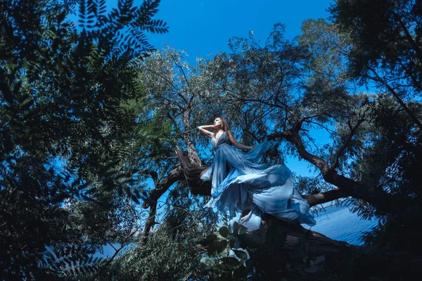 요정 숲에 파란 드레스에 아름 다운 여자. — 스톡 사진