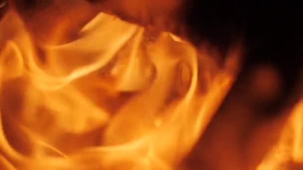 자연 배경 밤 가까이에 모닥불 — 비디오