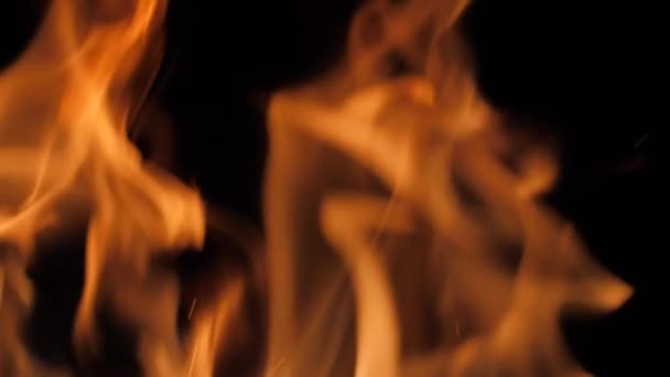 Llama de Fuego. Hermoso fondo abstracto . — Vídeos de Stock