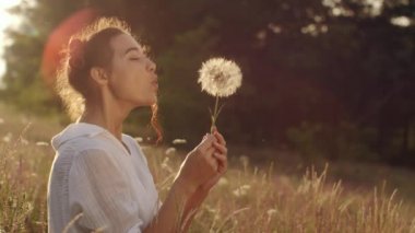 Güzel ve genç birbayan darbeler karahindiba yaz günbatımı buğday alanında. Güzellik ve yaz konsepti