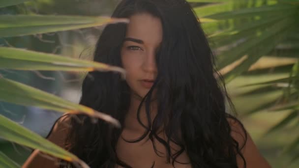 Menina bonita em biquíni contra fundo tropical. Retrato perfeito — Vídeo de Stock