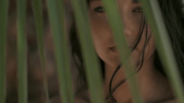 熱帯背景にビキニで美しい少女。完璧な肖像画 — ストック動画