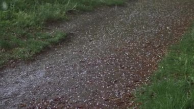 Bir patikaya düşen dolu buzu.