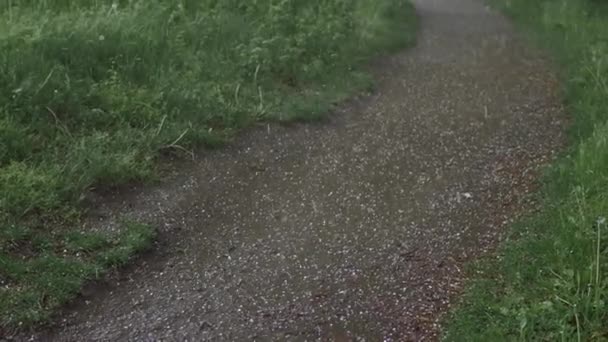 Hielo del granizo cayendo en un sendero — Vídeos de Stock