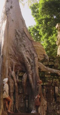 Erkek ve kadın, Angkor Wat, Kamboçya 'daki Ta Prohm tapınağını keşfeder, antik kalıntıları kaplayan devasa ağaç köklerinin yanından geçer. Belgeseller, turizm ve kültürel tanıtımlar için yüksek kaliteli seyahat görüntüleri.