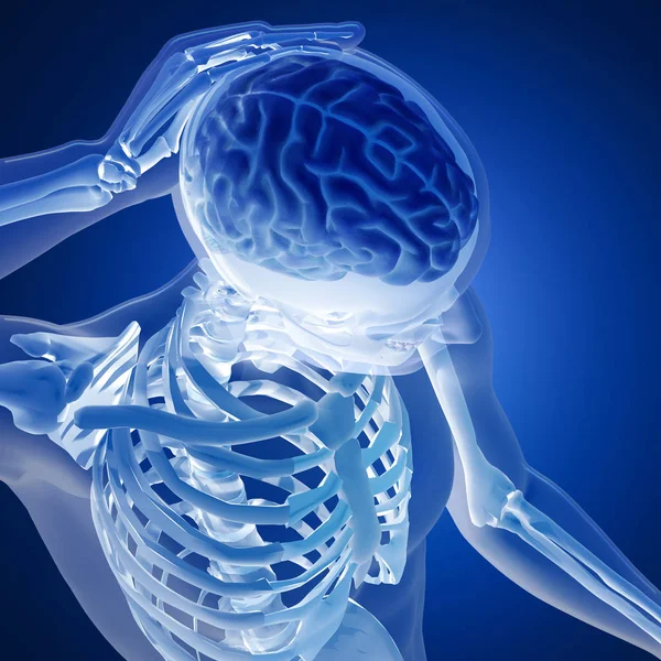 Візуалізація Медичної Фігури Виділеним Мозком Синьому Фоні — стокове фото