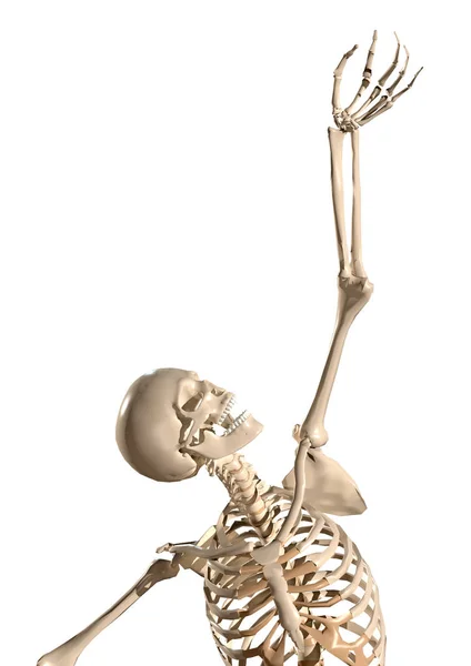 Esqueleto Humano Chegando Através Das Mãos — Fotografia de Stock