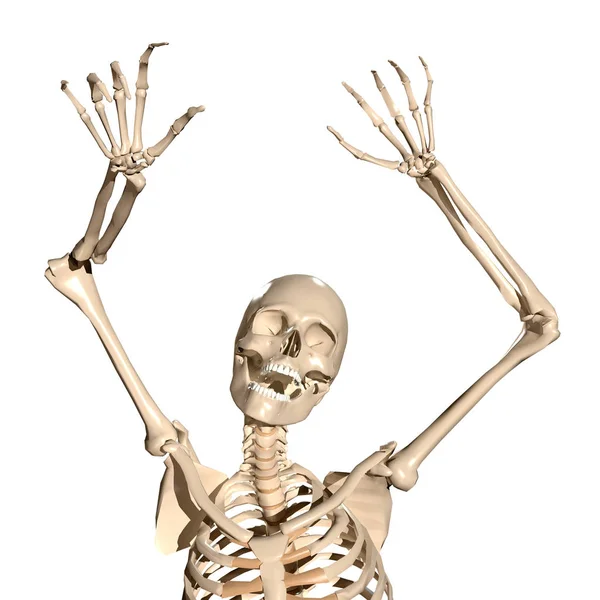 Griezelige Menselijk Skelet Schreeuwen — Stockfoto