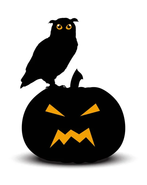 Calabaza de Halloween con siluetas de búho — Vector de stock