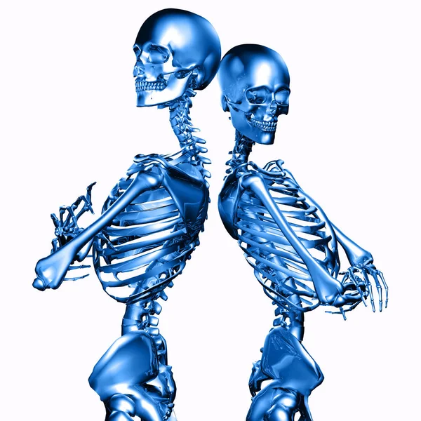 Illustration Metall Skelett Par Isolerade Vit — Stockfoto