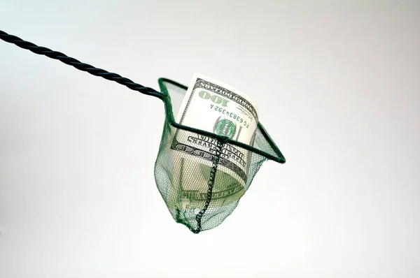 Fiske nät med pengar konceptuella Foto — Stockfoto