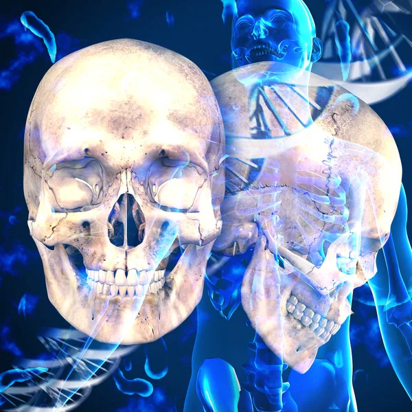 Медичний фон 3d dna з черепами та вірусними клітинами — стокове фото