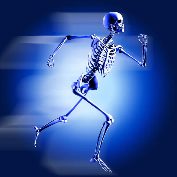 Imagem médica 3d com esqueleto — Fotografia de Stock