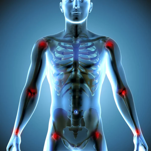 3D ιατρική απεικόνιση του ανθρώπινου σώματος που δείχνει το σκελετικό σύστημα σε — Φωτογραφία Αρχείου