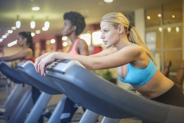 Frauengruppe Macht Übungen Auf Dem Laufband Fitnessstudio — Stockfoto