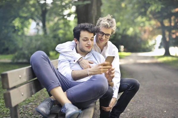 Cuplu Gay Stând Bancă Într Parc Verificând Smartphone — Fotografie, imagine de stoc