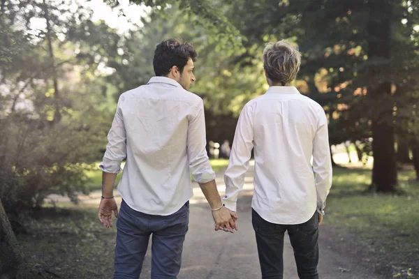 Pareja Gay Caminando Parque Sosteniendo Mano Del Otro —  Fotos de Stock