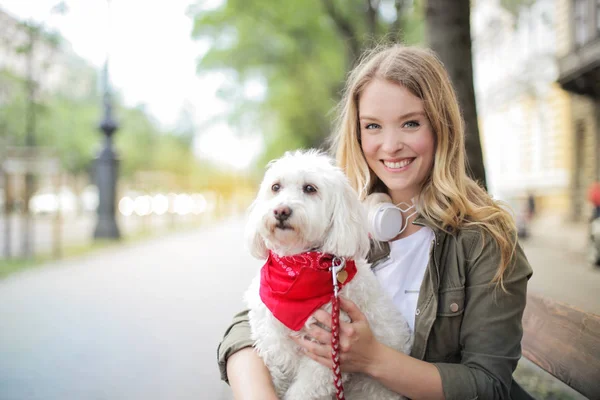 Onun sevimli köpek kapalı ve gülümseyen bir kanepede oturan genç güzel sarışın kadınla.