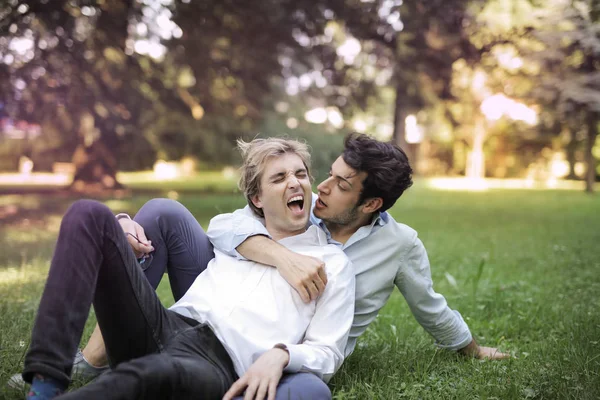 Pareja Gay Divirtiéndose Parque Tumbada Hierba Disfrutando Día Verano —  Fotos de Stock