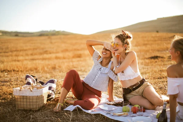 Jóvenes Amigos Están Teniendo Campo Picnic — Foto de Stock