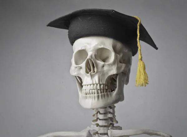 Sceleton Con Retrato Sombrero Graduación — Foto de Stock