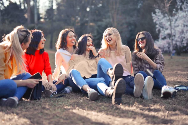 友達のグループは 草の上に座って笑顔 — ストック写真
