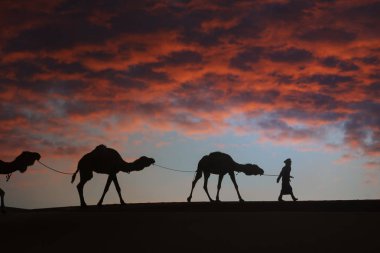 Koyu, kırmızı, bulutlu gökyüzü karşı çölde deve (dromedary) olan bir adam silüeti. 