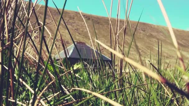 Una Cabaña Campo Escocés Con Hierba Primer Plano — Vídeos de Stock
