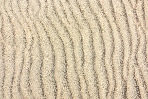 沙丘中线条的抽象背景纹理 — 图库照片