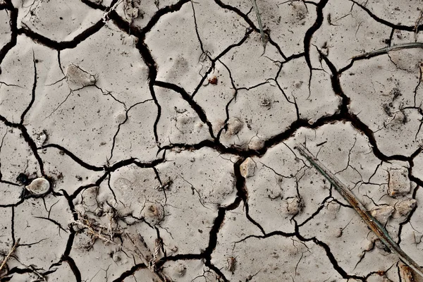 Textura de terra seca rachada — Fotografia de Stock