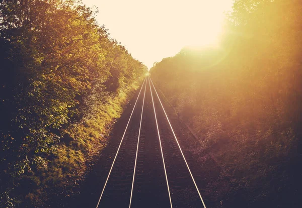 Trilhas de comboio ao pôr do sol — Fotografia de Stock