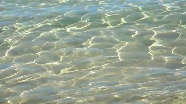 Hawaii Deki Bir Körfezdeki Yavaş Hareket Tropikal Suyun Arkaplanı — Stok video