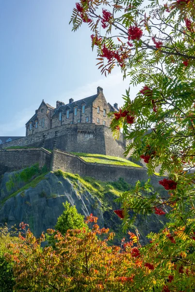 Edinburgh Slott Med Fokus Träd Princes Street Gardens Förgrunden — Stockfoto