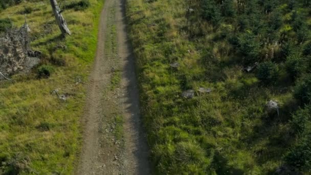 Воздушное Откровение Пешеходной Тропы Ведущей Красивому Шотландскому Пейзажу Летом — стоковое видео