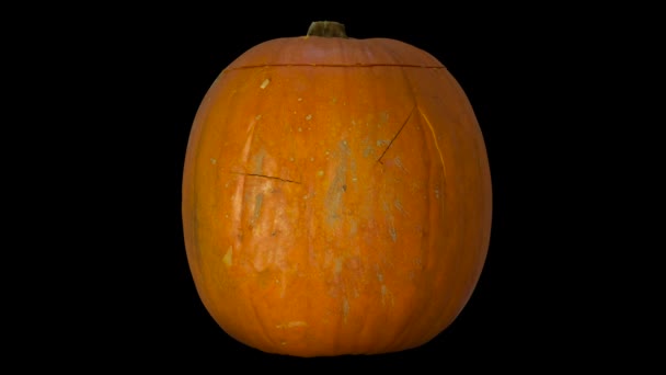 Stop Motion Animation Isolated Halloween Pumpkin Being Carved Lit — Stock Video